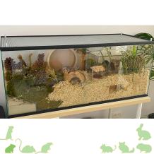 Terrarium voor hamster met schuifruiten zonder plateaus - vast voorschot