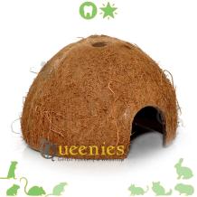 Kokosnoten Holletje als schuilplek voor Knaagdieren