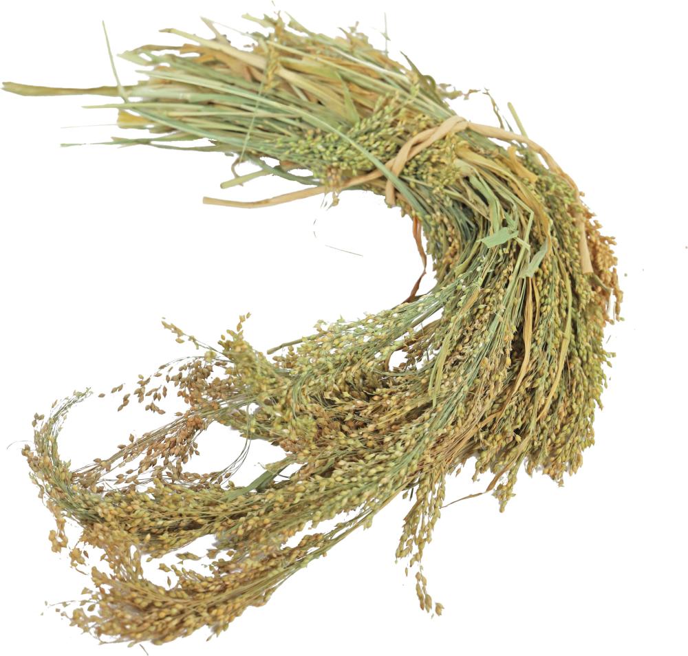 JR Farm Parelgierst 100 gram