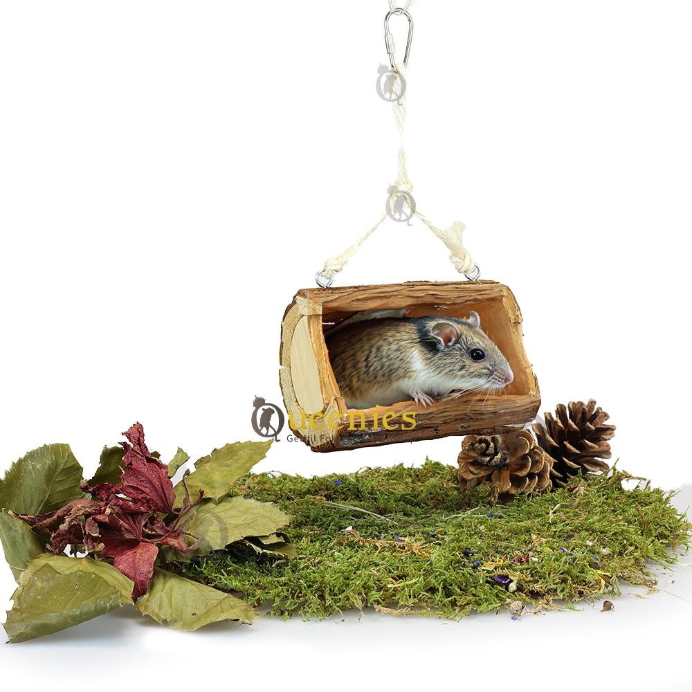 Muizen speelgoed voor Gerbils en Hamsters