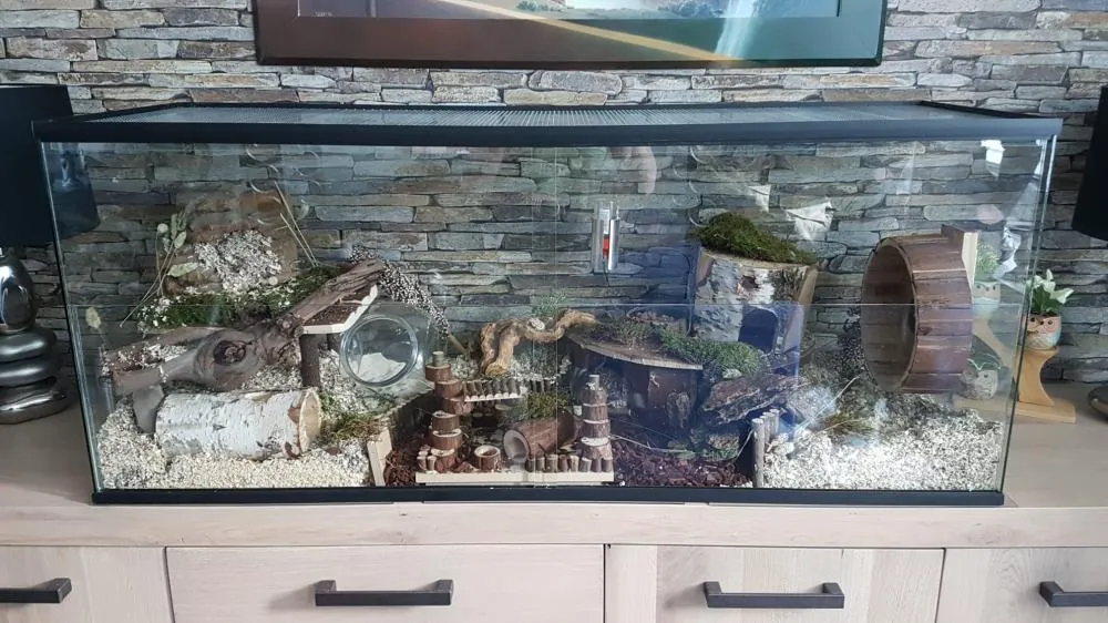 Hamster terrarium met vast voorschot, schuifruit van bodem tot deksel