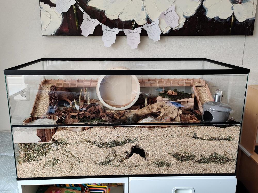 120x60x60 Hamster Terrarium met schuifruiten zonder plateaus
