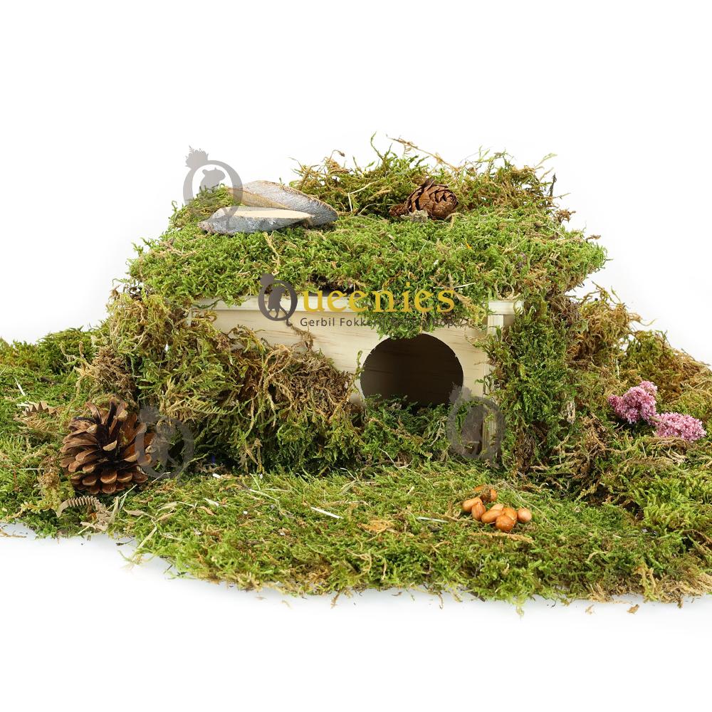 Gedroogd Terrarium mos met Hamsterhuisjes combineren