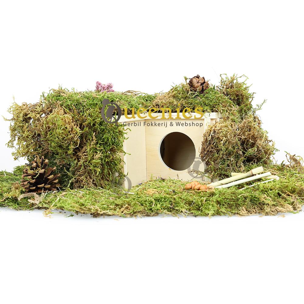 Hamsterscaping hamsterhuis met mos