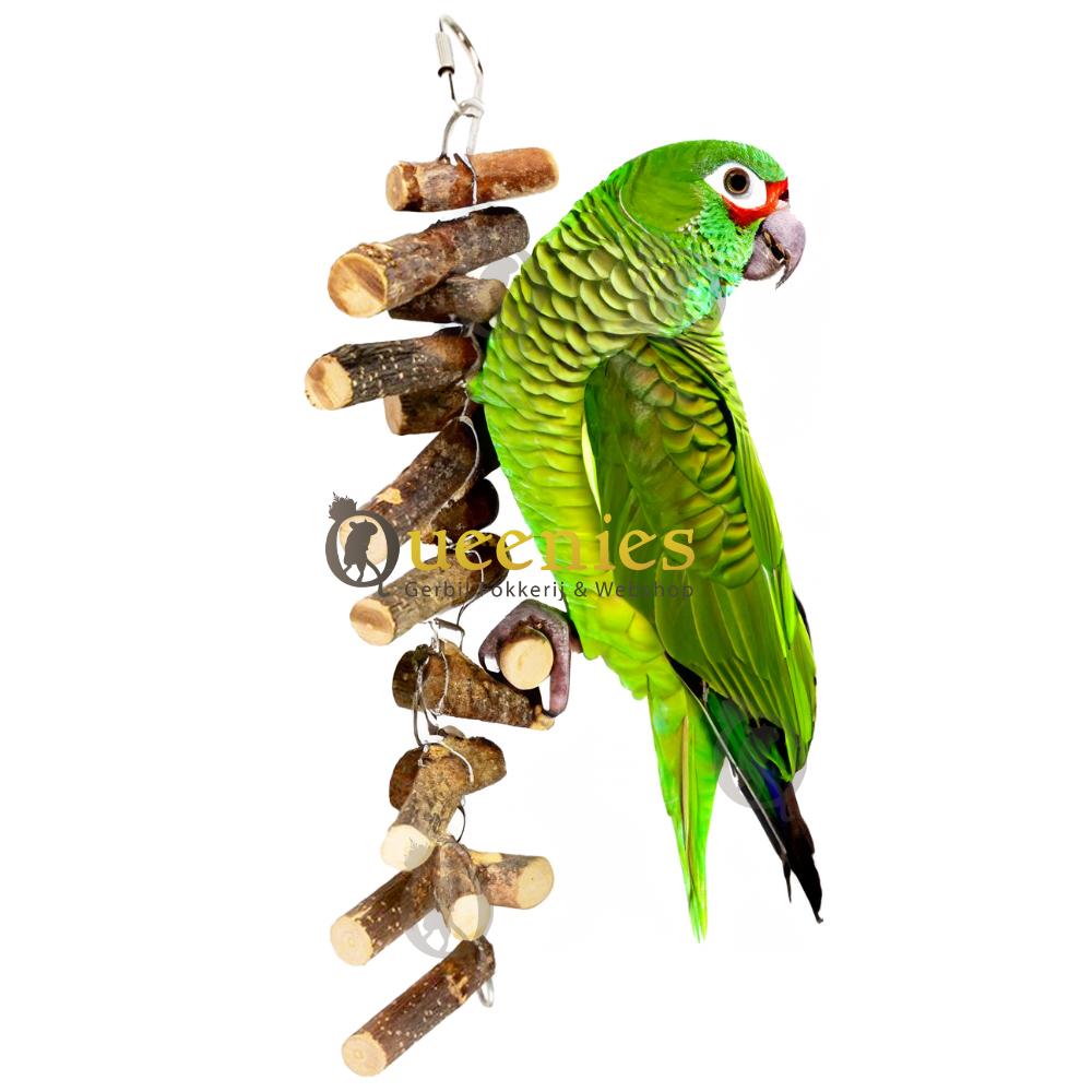 Papegaaien speelgoed van hout
