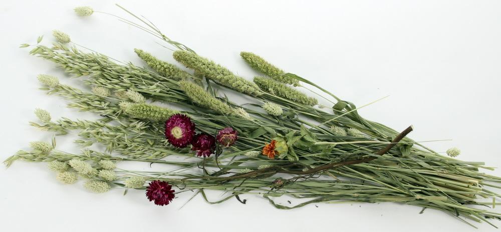 Knaagdier Bouquet gedroogde grassen en kruiden voor Dwerghamster