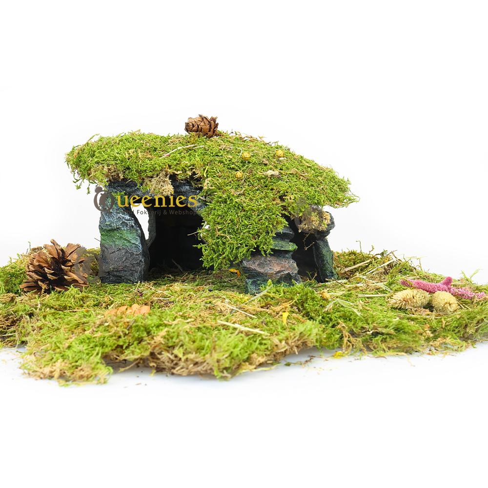 Hoeksteen rots met gedroogd terrarium mos voor in Hamsterscape