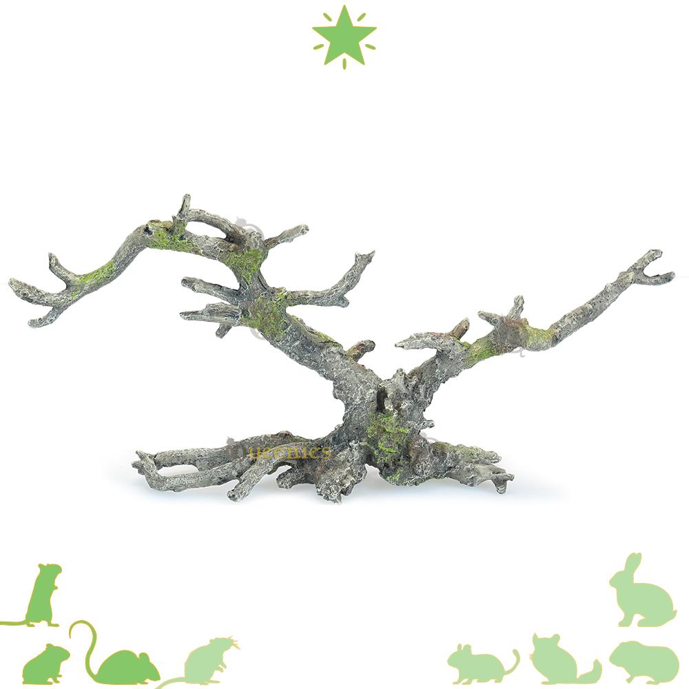 Landscape bonsia boom voor Knaagdieren