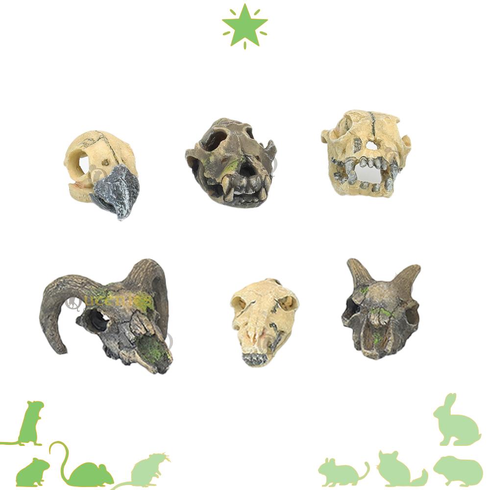 Mini Skulls / Jungle Scape - Jungle Book Hamsterscape Thema