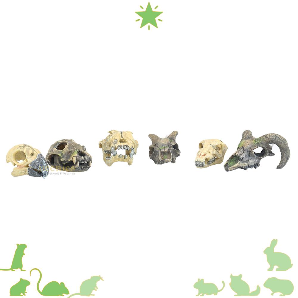 Mini Skulls / Jungle Scape