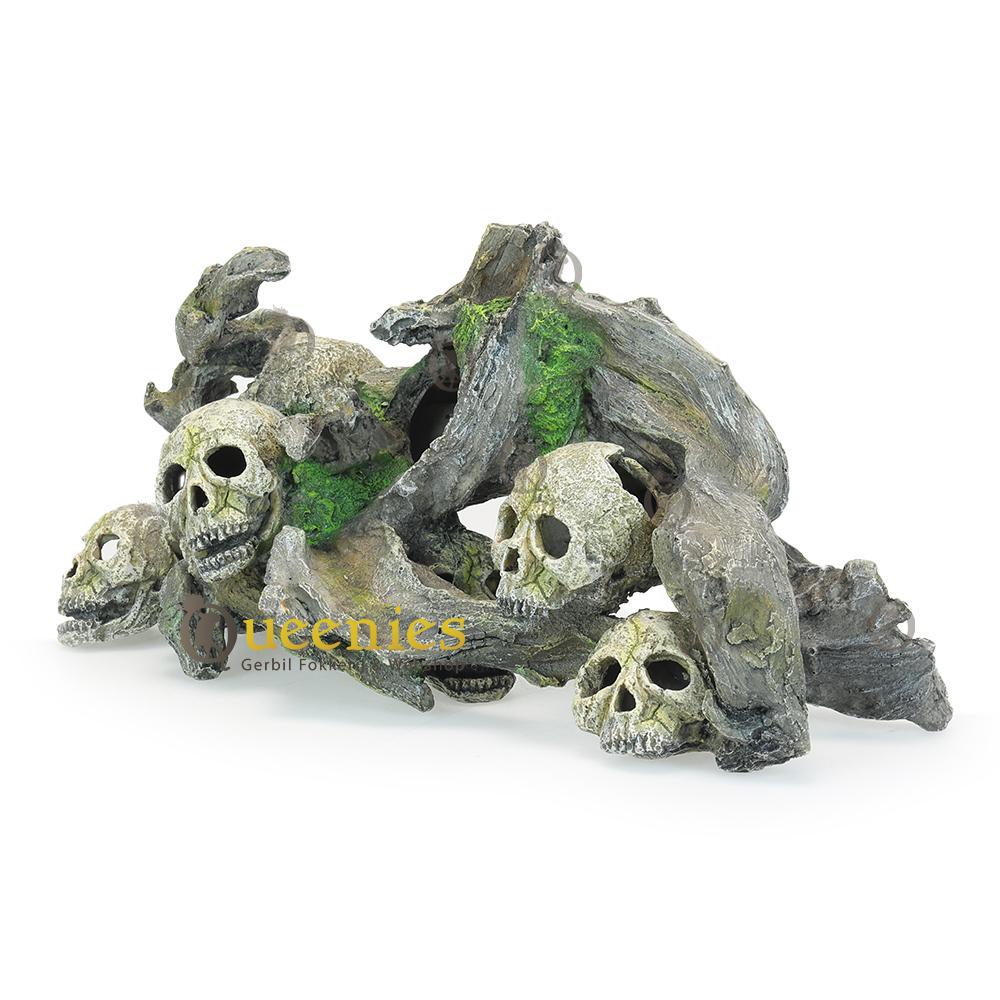 Skull en schedels als terrarium accessoires
