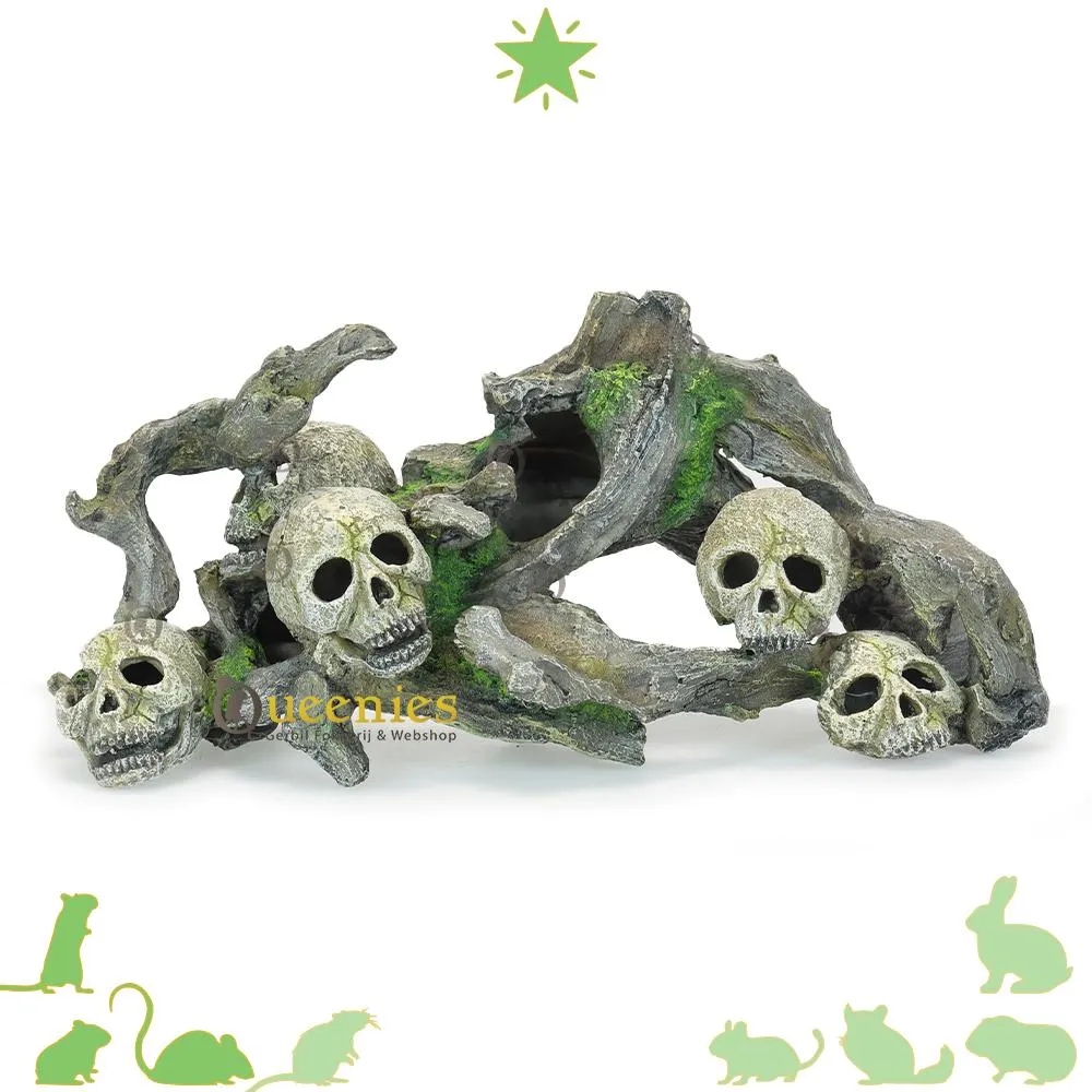 Kurtzy Menselijk Schedel Model – L12 x B17 x H14,5 cm – Realistisch Resin Bot Medisch Skelet – Replica Levensgroot Hoofd Voor Anatomische Medische Scholing & Halloween Feest Decoratie