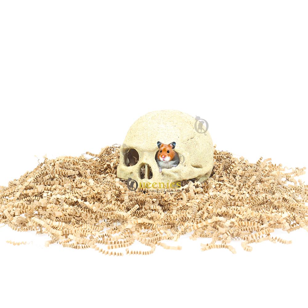 Primate Skull - schuilplaats hamster