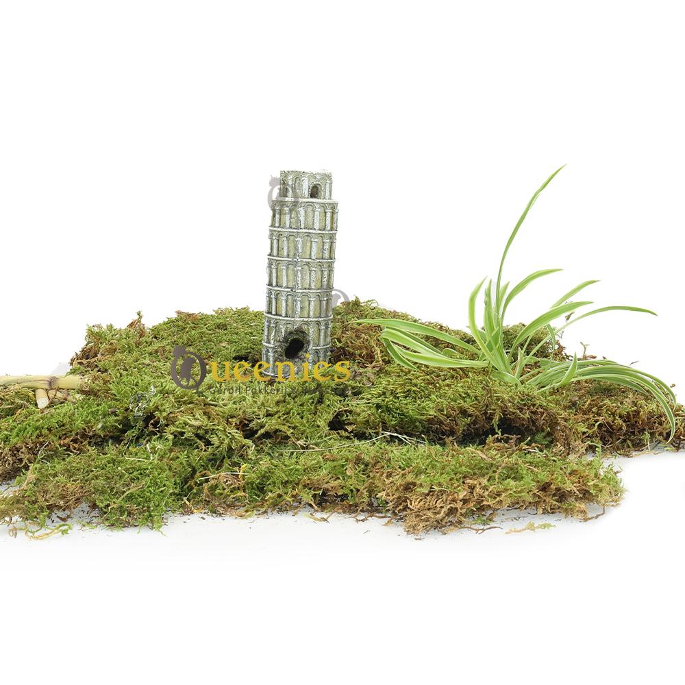 Terrarium mos combineren met plantjes voor Hamsterscaping