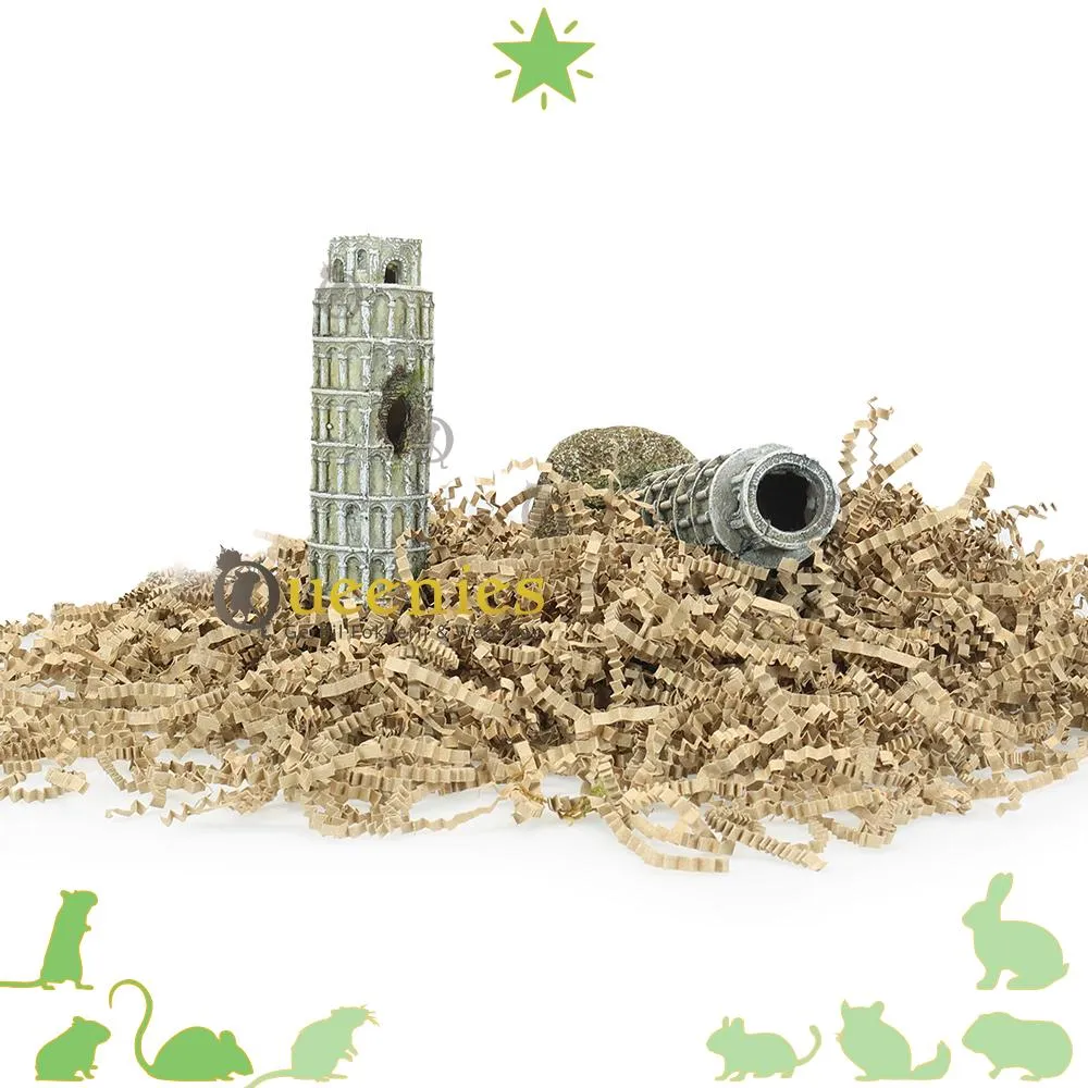 Bouw je eigen miniatuur halloweenhuisje met Crafts & Co | Action Web BE