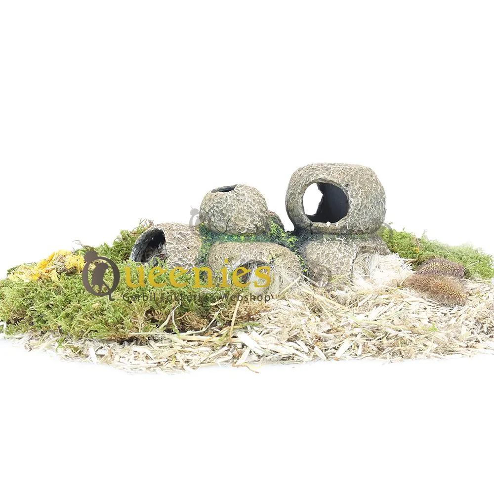 Reptielen Schuilplaats Met Zuignap – Hars Boomholte Voor Terrarium, Aquarium Of Vivarium – Stressverlagend Hagedissen Ornament