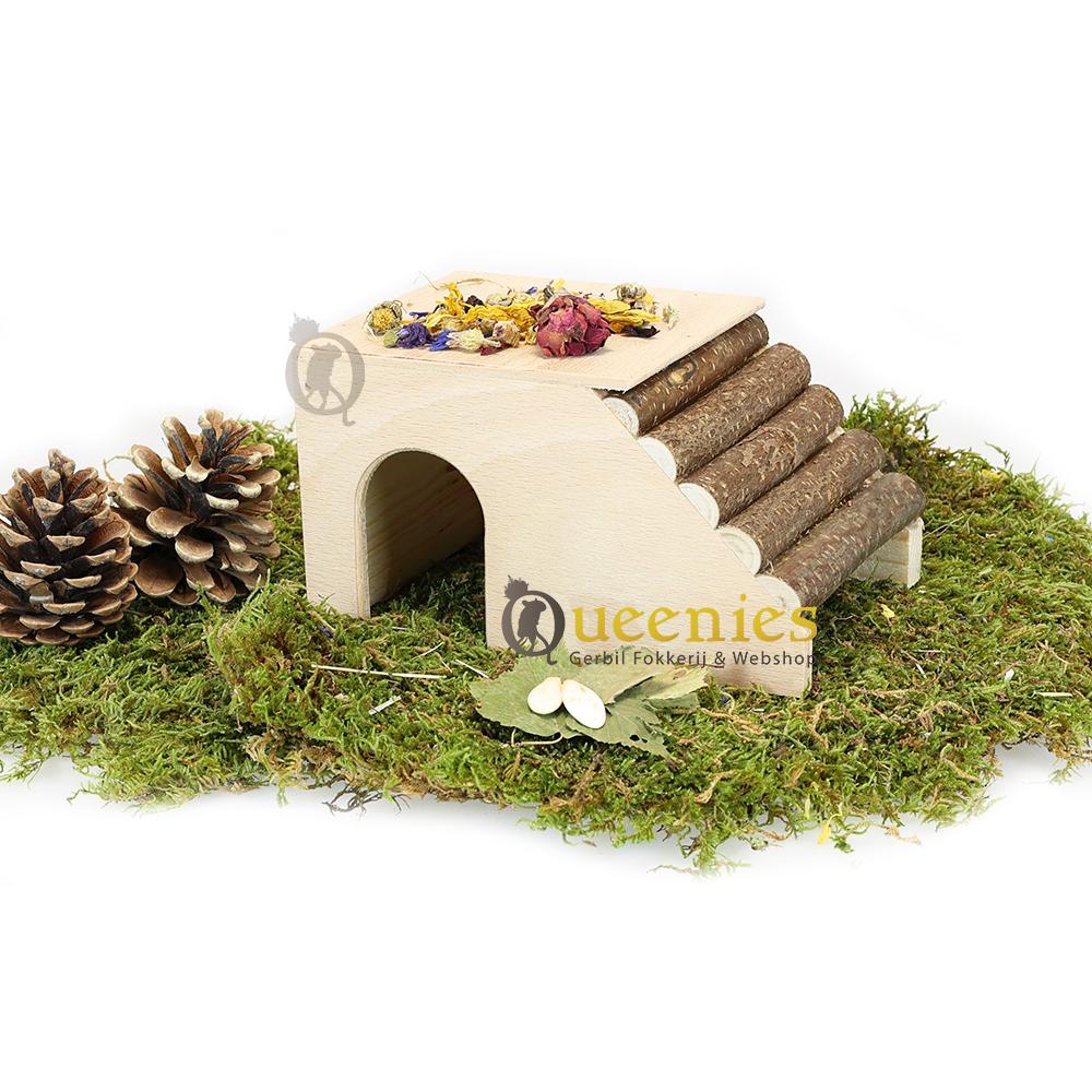 Ideaal huisje voor kleine Knaagdieren in hamsterscaping