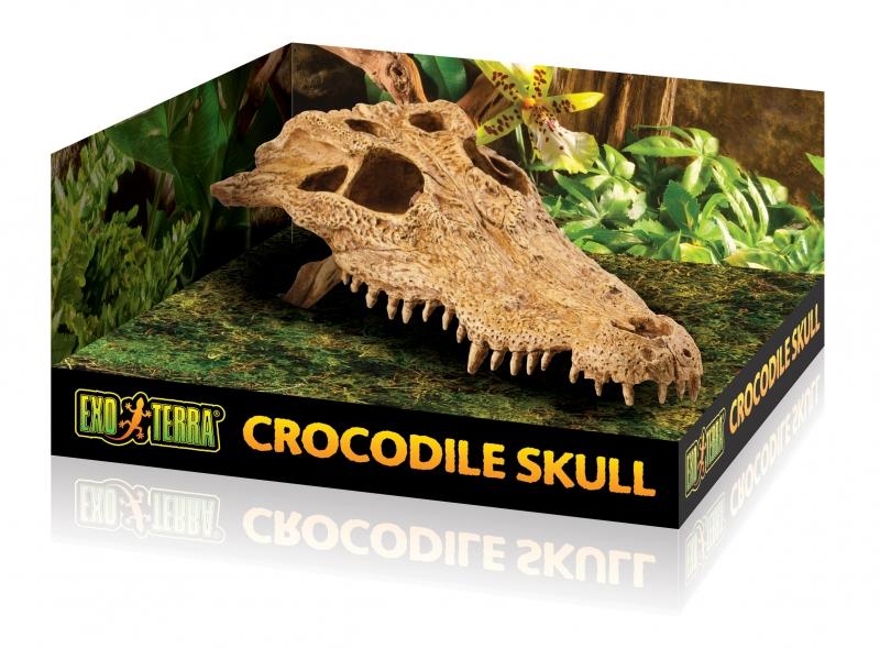Exo Terra Krokodillen schedel