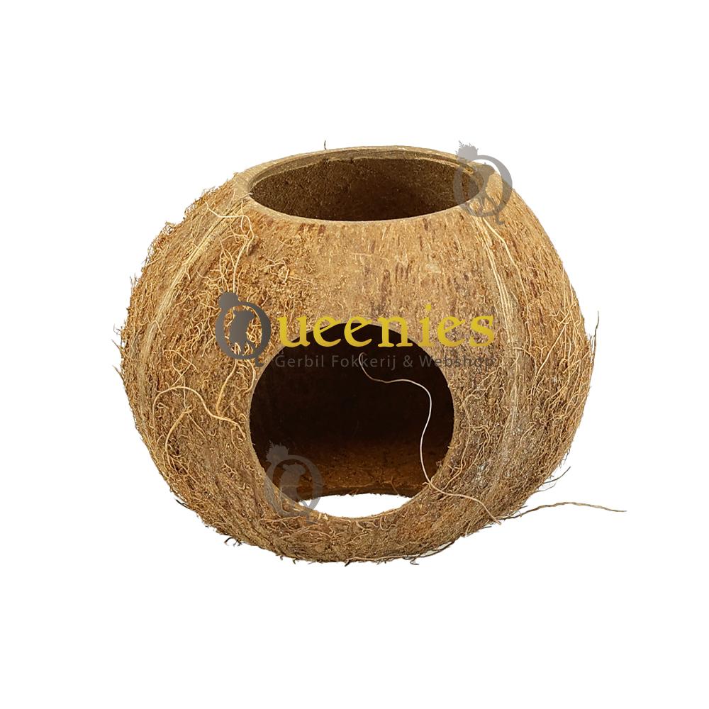Kokosnoten voor huis decoratie