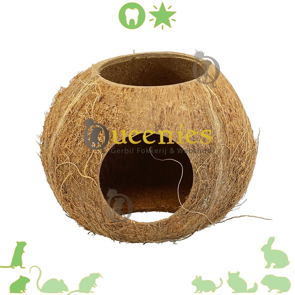 3 gaten kokosnoot voor Gerbils