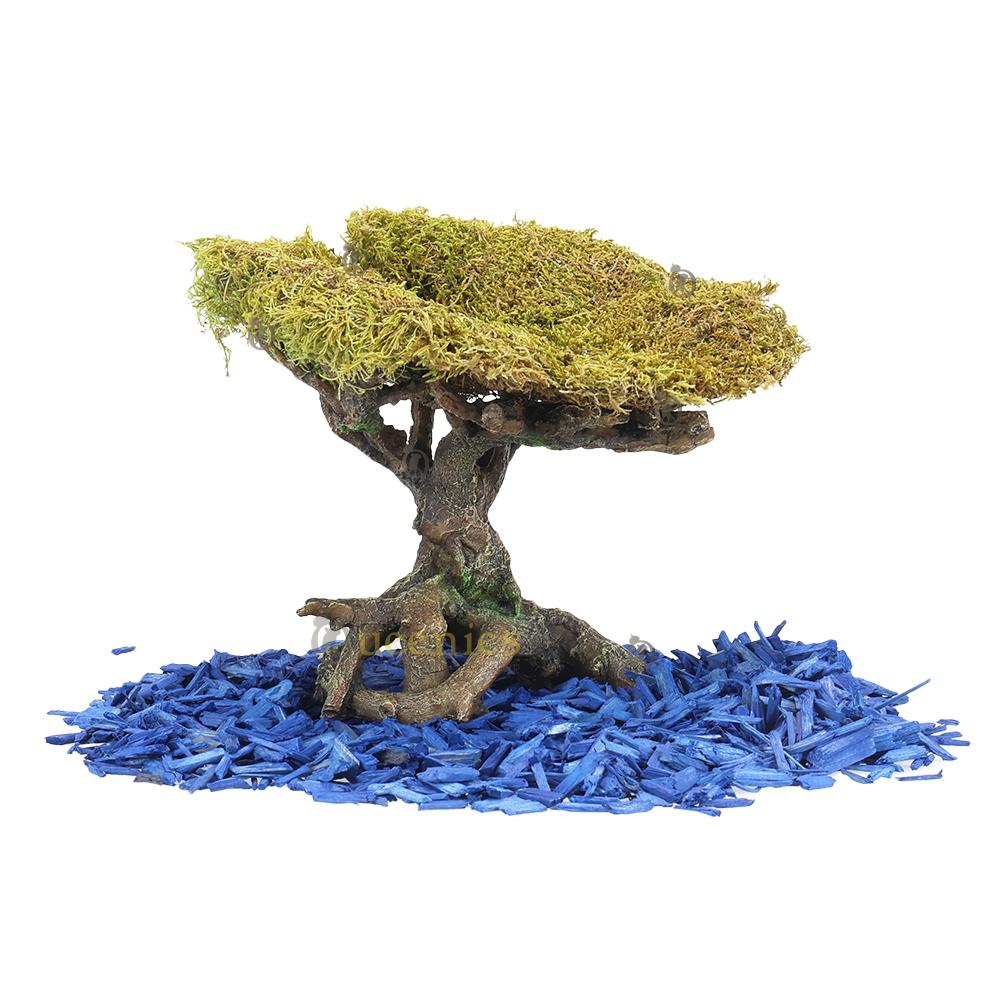 Gedroogd mos met Color wood  en bonsai boom