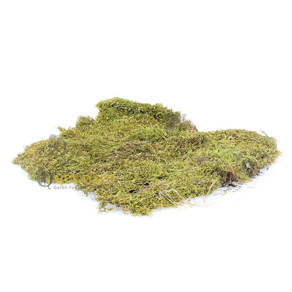 Hamsterscape Terrarium mos 1 kg