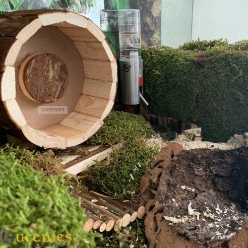 Gedroogd terrarium Mos in hamsterscaping