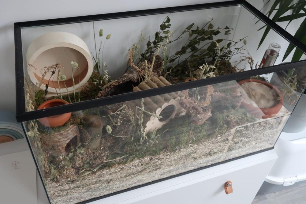 Hamsterscaping kooi voor knaagdieren