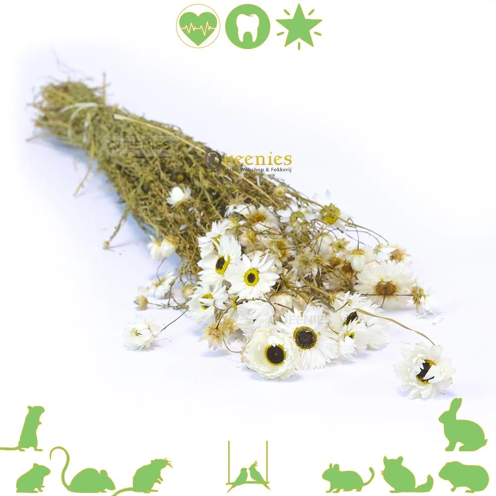 Dieren in het Bos - Kinderpuzzel - 100 stukjes - De PuzzelGigant.nl