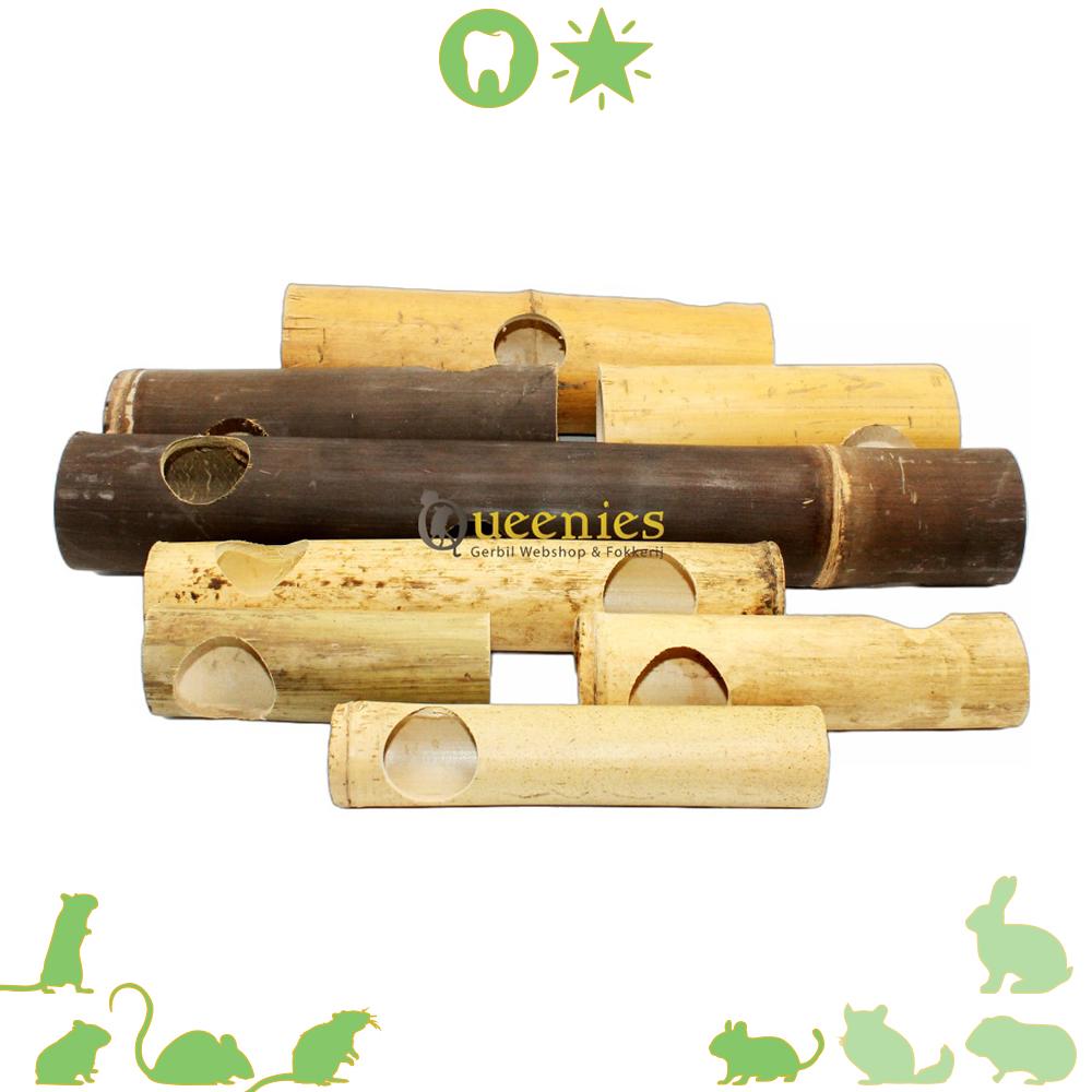 Bamboo tunnels voor knaagdier