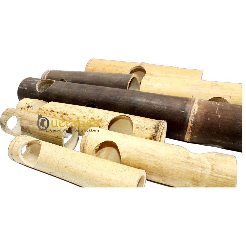Bamboe tunnels voor Degoe