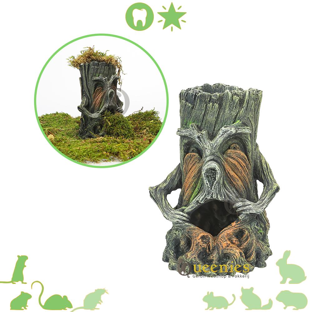 Holle Boomstam voor Hamsterscaping met gedroogd terrarium mos