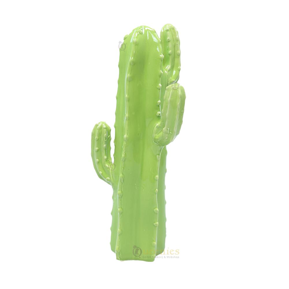 huis decoratie cactus