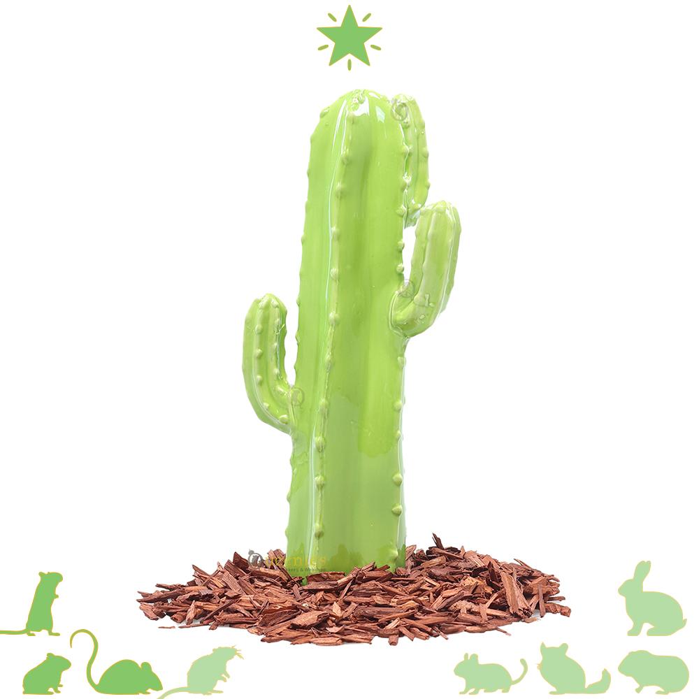 Cactus 30 cm hoog - amsterscaping decoratie