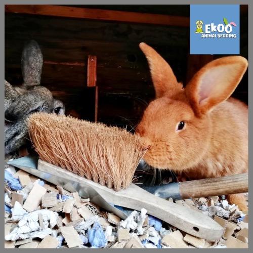 Card & Card Mix voor hamsters