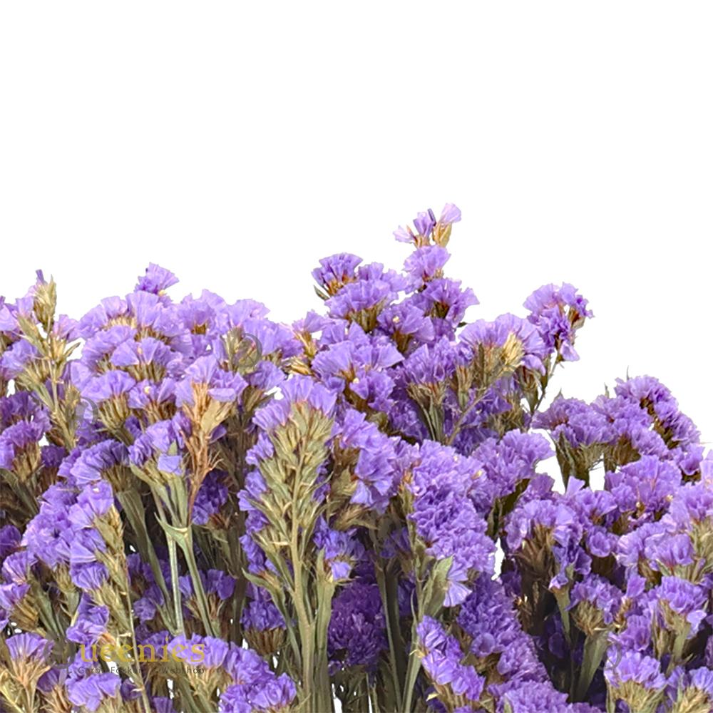 Dierenkruid met lavendel voor goudhamster