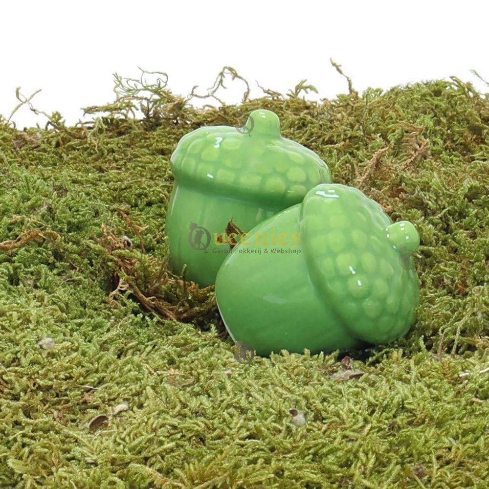 Groene eikel voor hamster decoratie