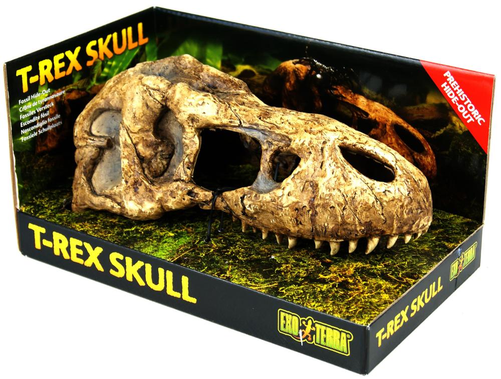 Exo Terra T-Rex Schedel