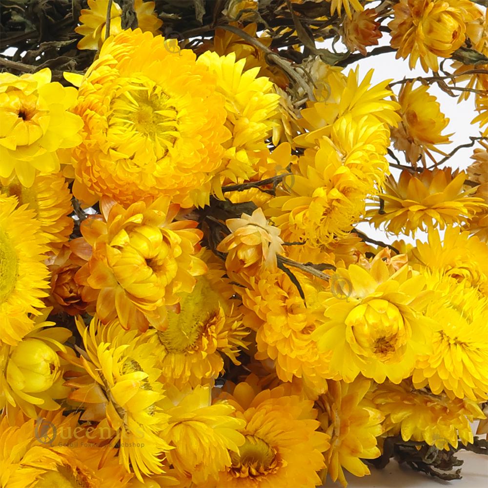 Gouden bloemen voor Hamsters