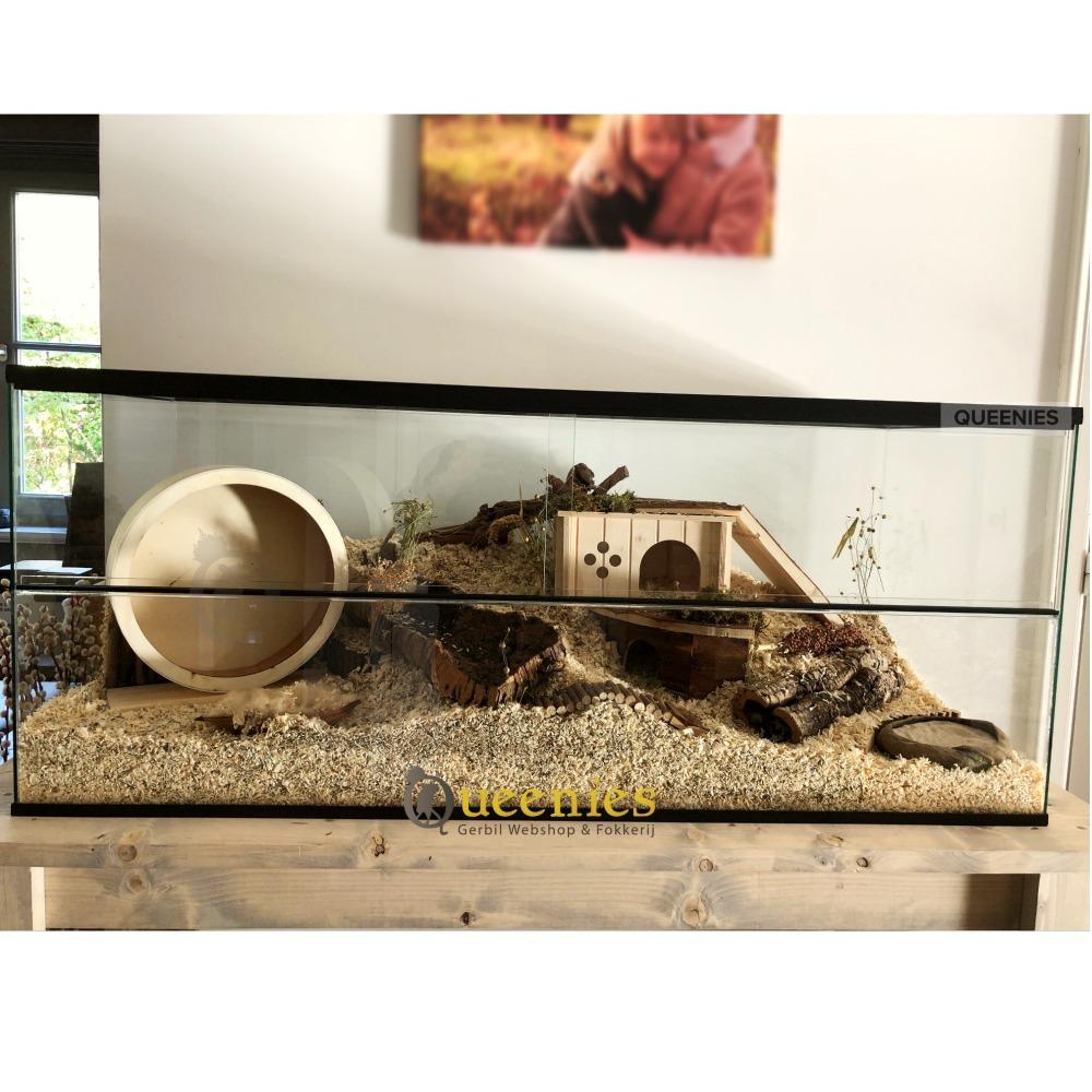 160x50x60 knaagdieren terrarium met schuifruiten
