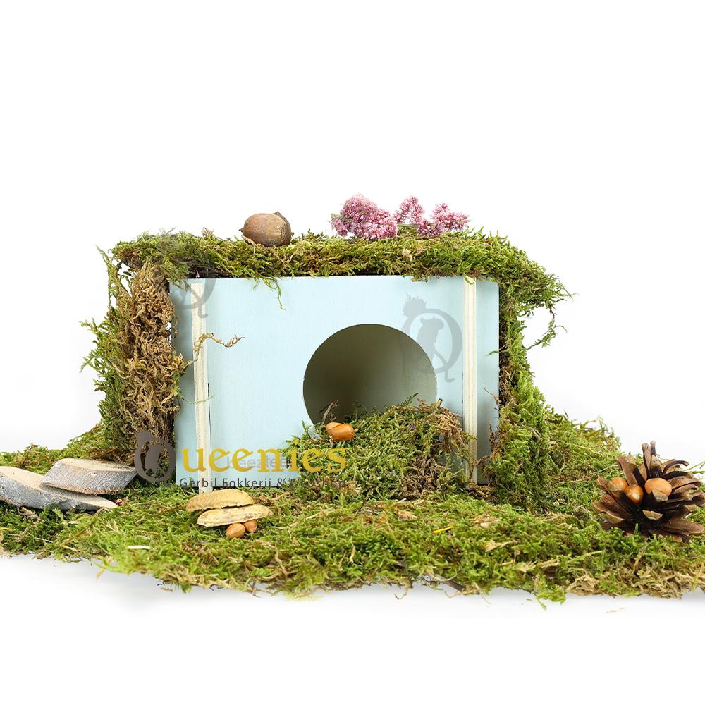 Hamsterscapingshuisje met pastel zachte kleuren