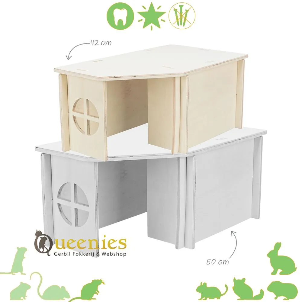 Cavia nagels knippen: stappenplan & tips | DRD Knaagdierwinkel® | DRD Knaagdierwinkel Cavia nagels knippen: stappenplan & tips | DRD Knaagdierwinkel® | DRD Knaagdierwinkel