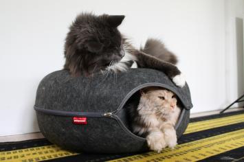 Kattenmand Cosy Donut 60 cm - 1 opening