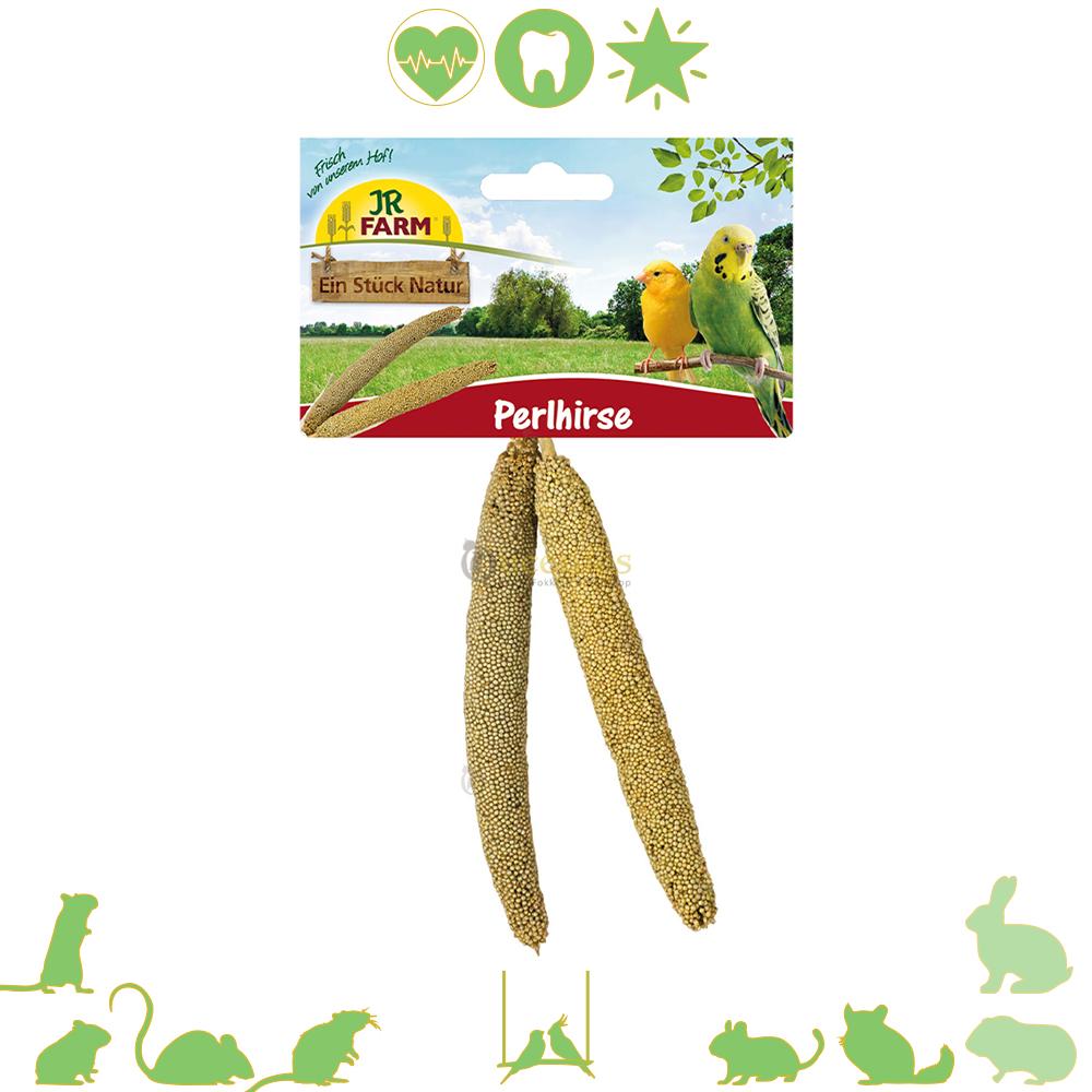 JR Farm Parelgierst 40gr - Natuurlijk Snackplezier voor Knaagdieren!