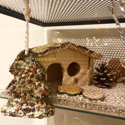 Kerstboom van gedroogd fruit voor Gerbils