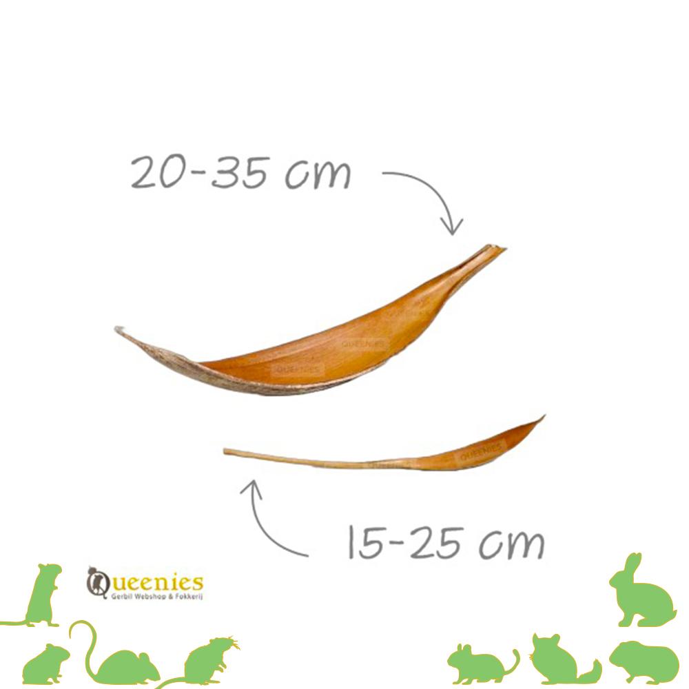 Knaagdieren dienblad - Kokosnootschil 20-35 cm