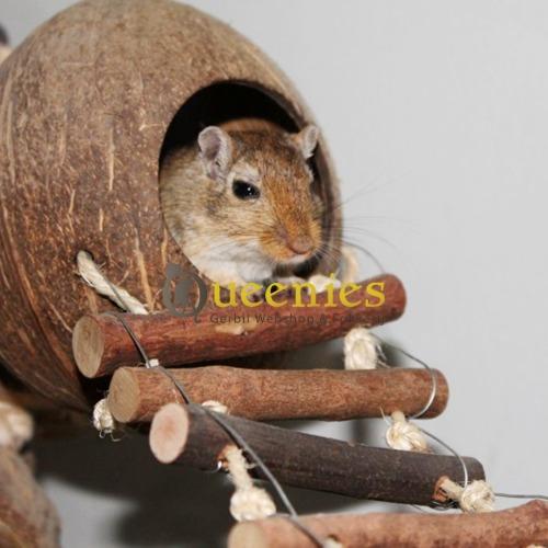 Knaagproef Kokosnoten hangbrug onverwoestbaar voor gerbils