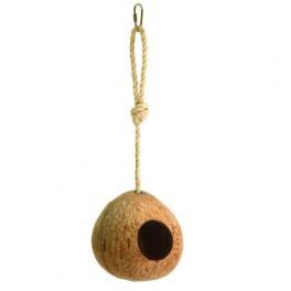 Hangende Kokosnoot met ijzeren ketting