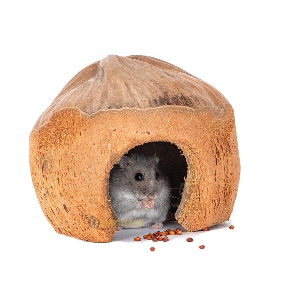 Natuurlijk kokosnoot huisje voor hamsters