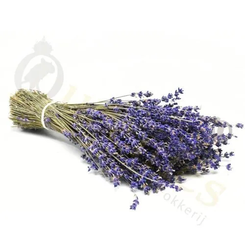 Gedroogde Lavendel - Prachtige helder blauwe sprieten - Hamsterscaping